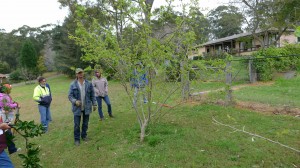 Pruning and striking workshop 11