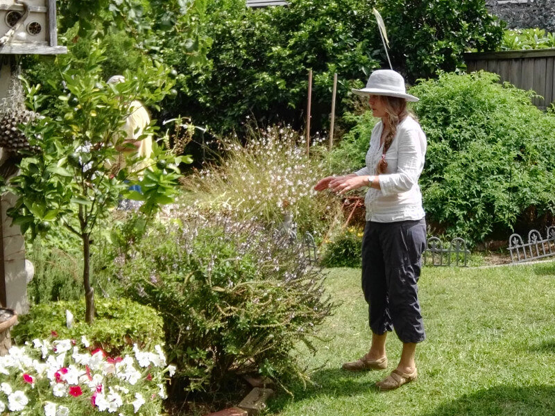 Mini Masterclass: Successful  Organic  Gardening