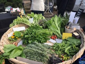 Big basket of freshly cut herbs and vegetables