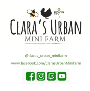 Accommodation at Claras Urban Mini-Farm